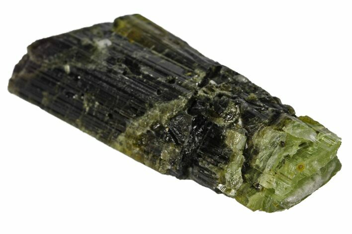 Beautiful Bicolored Dravite-Elbaite Crystal - Tanzania #131548